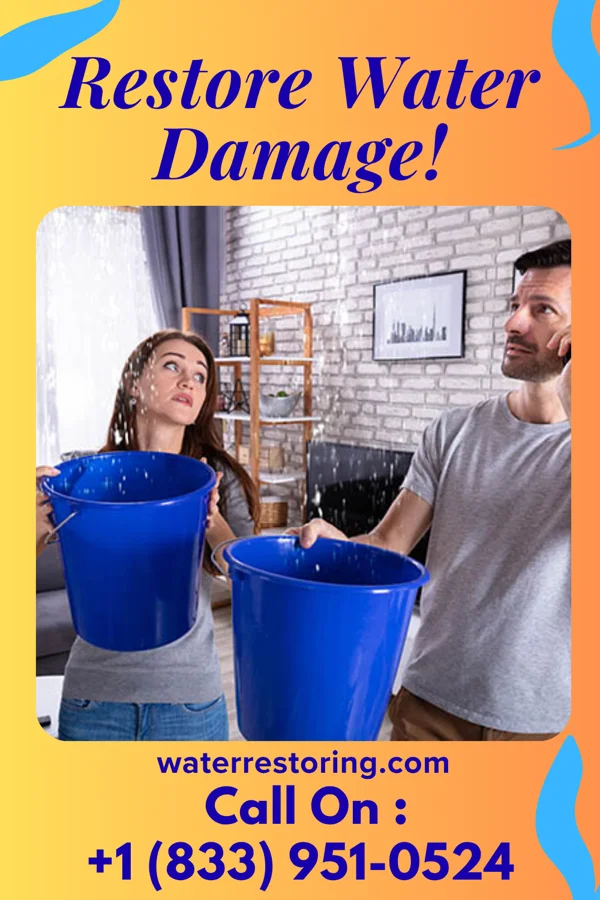 water restoration Local Water Removal Specialists East Galesburg