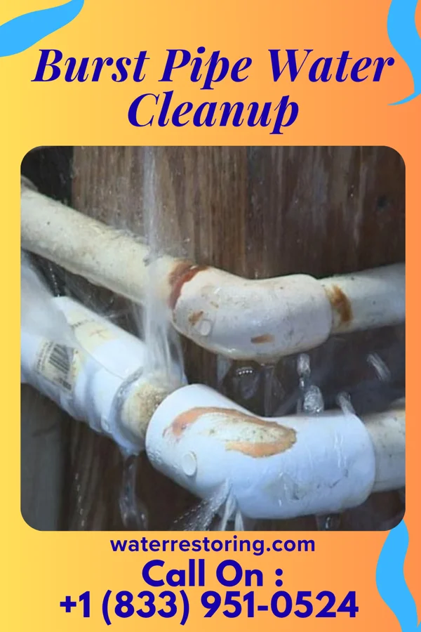 Burst Pipe Water Cleanup in East Galesburg, IL