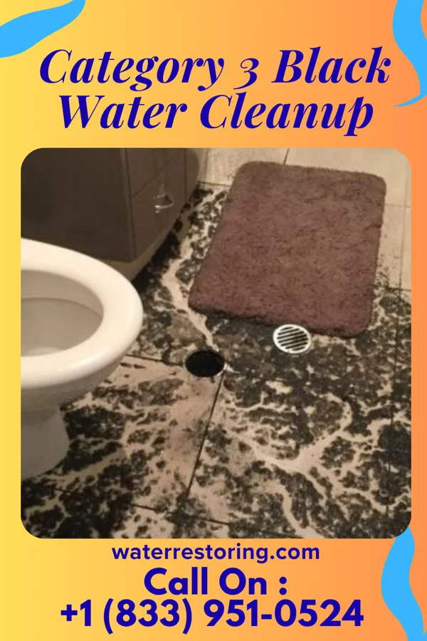 Category 3 Black Water Cleanup in East Galesburg, IL
