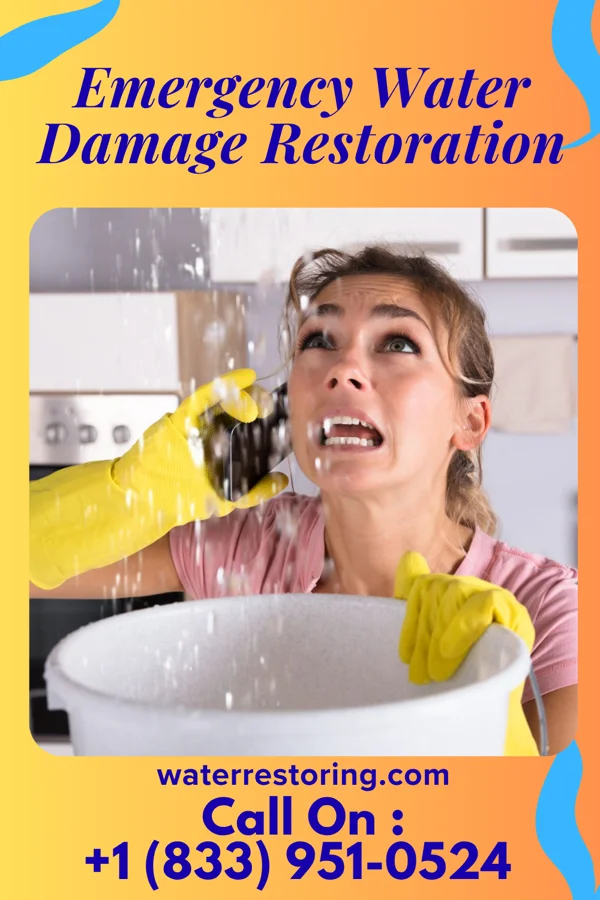 Emergency Water Damage Restoration in East Galesburg, IL