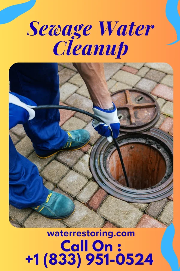 Sewage Water Cleanup in East Galesburg, IL
